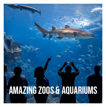 zoos